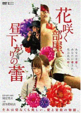 肖申克的救赎 美国经典电影在线观看